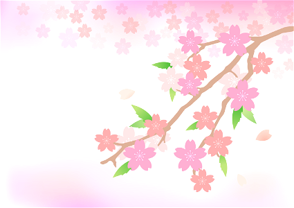 Sakura branch. Free illustration for personal and commercial use.