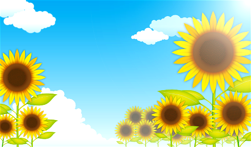 Sunflowers summer sky. Free illustration for personal and commercial use.