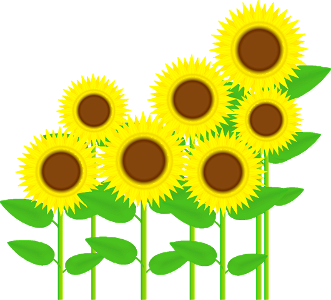 Sunflowers. Free illustration for personal and commercial use.
