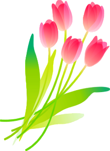 Tulip. Free illustration for personal and commercial use.