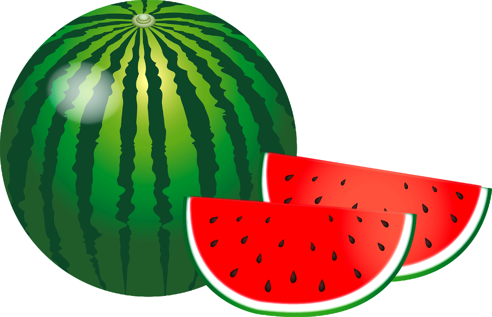 Watermelon - Free Stock Illustrations | Creazilla