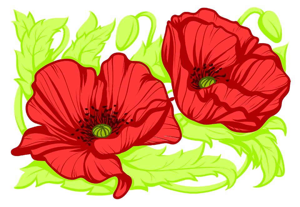 Poppies. Free illustration for personal and commercial use.