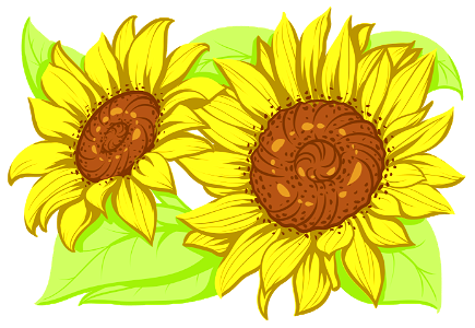 Sunflower. Free illustration for personal and commercial use.