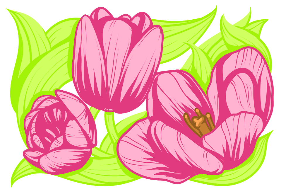 Tulips. Free illustration for personal and commercial use.