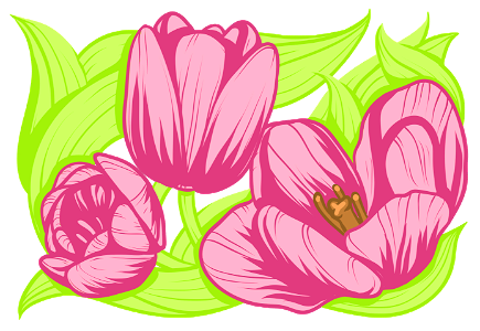 Tulips. Free illustration for personal and commercial use.