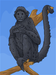 Black headed spider monkey. Free illustration for personal and commercial use.