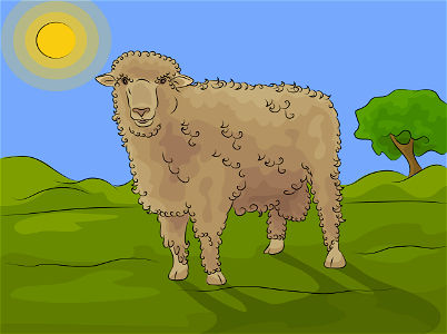 Corriedale sheep. Free illustration for personal and commercial use.