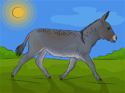 Donkey. Free illustration for personal and commercial use.