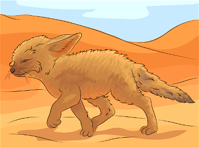 Fennec fox. Free illustration for personal and commercial use.