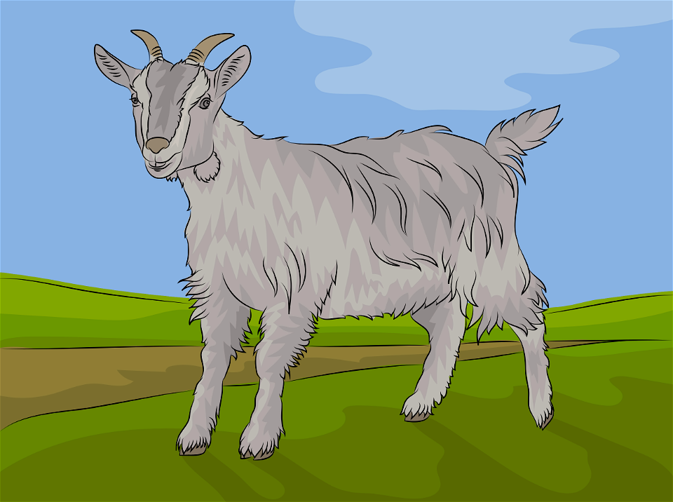 Goat - Free Stock Illustrations 