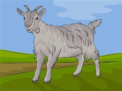 Goat. Free illustration for personal and commercial use.
