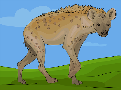 Hyena. Free illustration for personal and commercial use.