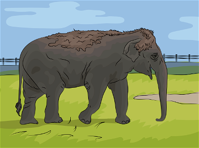 Indian elephant. Free illustration for personal and commercial use.
