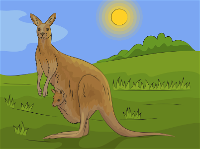 Kangaroo. Free illustration for personal and commercial use.