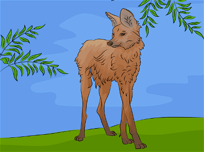 Maned wolf. Free illustration for personal and commercial use.