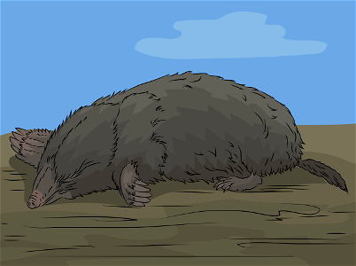 Mole. Free illustration for personal and commercial use.