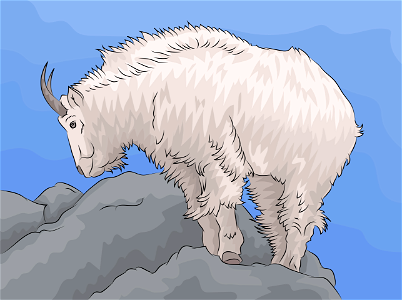 Mountain goat. Free illustration for personal and commercial use.