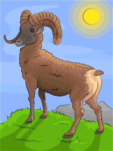 Mountain bighorn sheep. Free illustration for personal and commercial use.