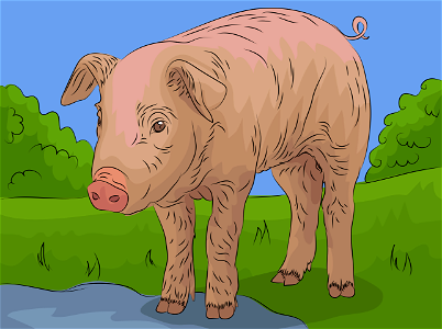 Pig. Free illustration for personal and commercial use.