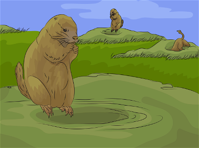 Prairie dog. Free illustration for personal and commercial use.