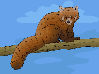 Red panda. Free illustration for personal and commercial use.