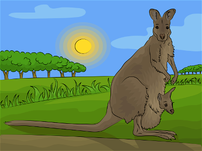 Red necked wallaby. Free illustration for personal and commercial use.
