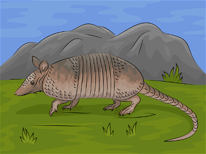 Nine banded armadillo. Free illustration for personal and commercial use.