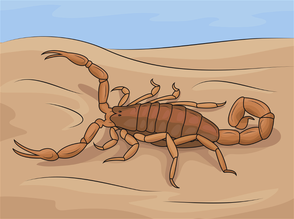 Striped bark scorpion. Free illustration for personal and commercial use.