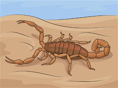 Striped bark scorpion. Free illustration for personal and commercial use.