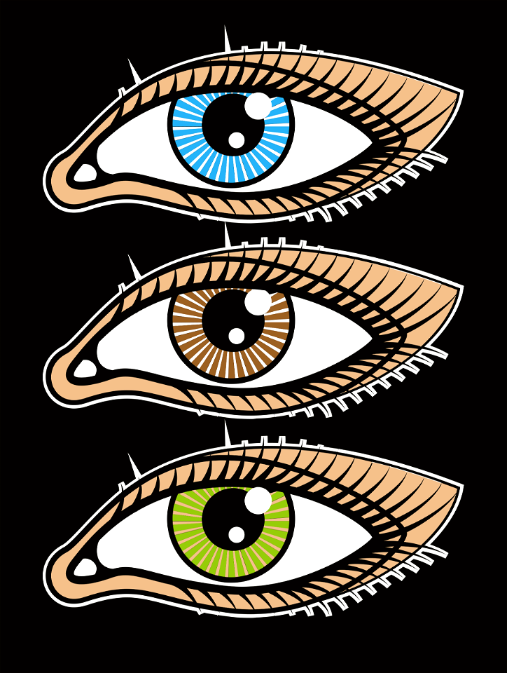 Eyes color clip art. Free illustration for personal and commercial use.