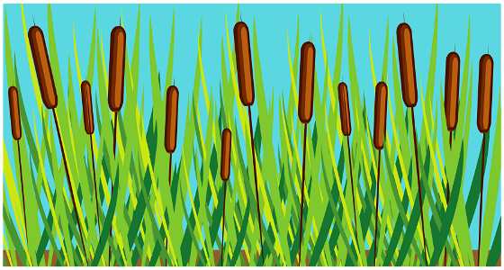 Swamp reed. Free illustration for personal and commercial use.