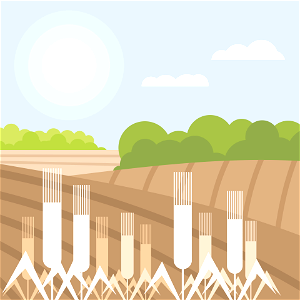 Wheat Fields. Free illustration for personal and commercial use.