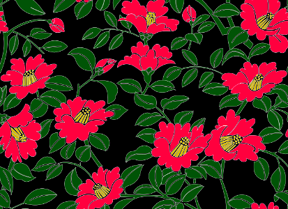 camellia illustration