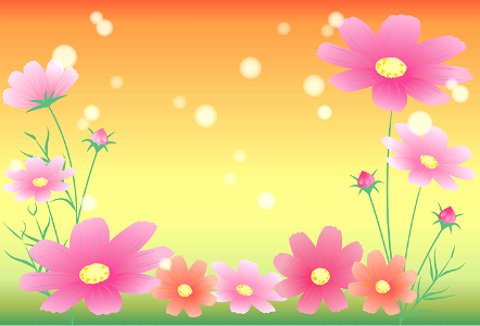 Cosmos flower background. Free illustration for personal and commercial use.