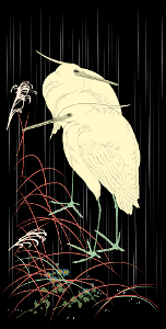 Egret bird. Free illustration for personal and commercial use.
