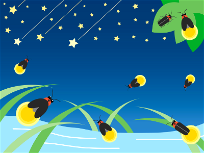 Firefly grass insect. Free illustration for personal and commercial use.