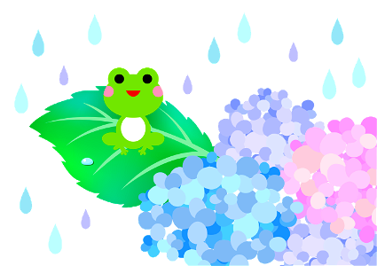 Hydrangea frog rainy season. Free illustration for personal and commercial use.