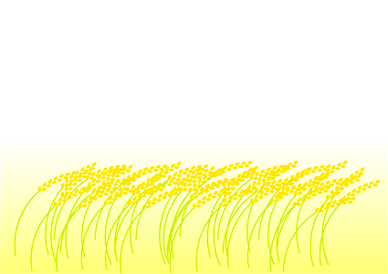 Rice field. Free illustration for personal and commercial use.