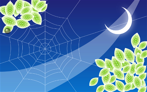 Spider web under moon