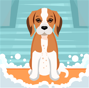 Beagle. Free illustration for personal and commercial use.