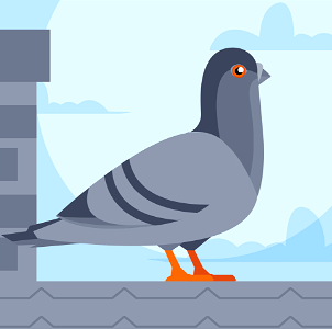Pigeon. Free illustration for personal and commercial use.