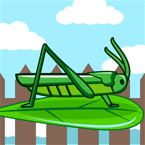 Grasshopper. Free illustration for personal and commercial use.