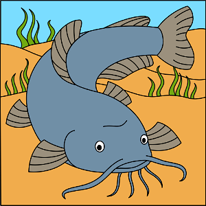Catfish. Free illustration for personal and commercial use.