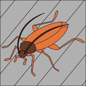 Cockroach. Free illustration for personal and commercial use.