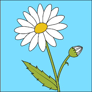 Daisy. Free illustration for personal and commercial use.