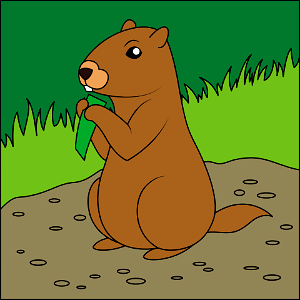 Groundhog. Free illustration for personal and commercial use.
