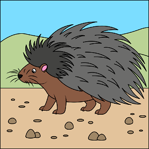 Porcupine. Free illustration for personal and commercial use.
