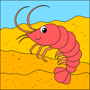 Shrimp. Free illustration for personal and commercial use.