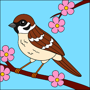 Sparrow. Free illustration for personal and commercial use.