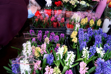 flori_flowers-2023_0225_120403-photo-xl
